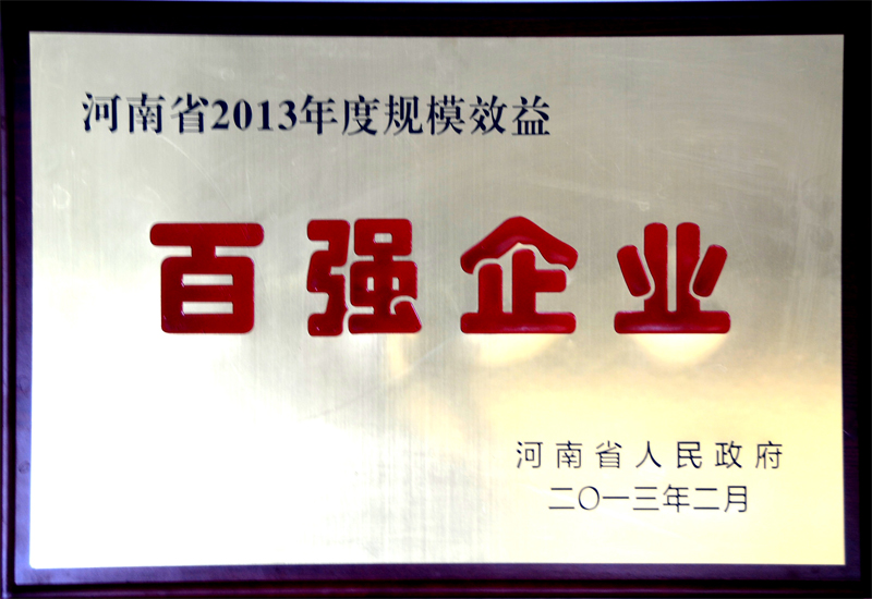 河南省2013年度规模效益百强企业